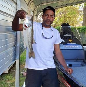 Meet your Posher, Azavia